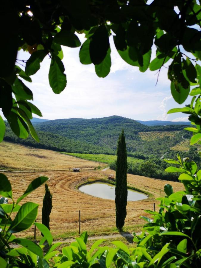 Agriturismo Selvella Allerona Eksteriør bilde