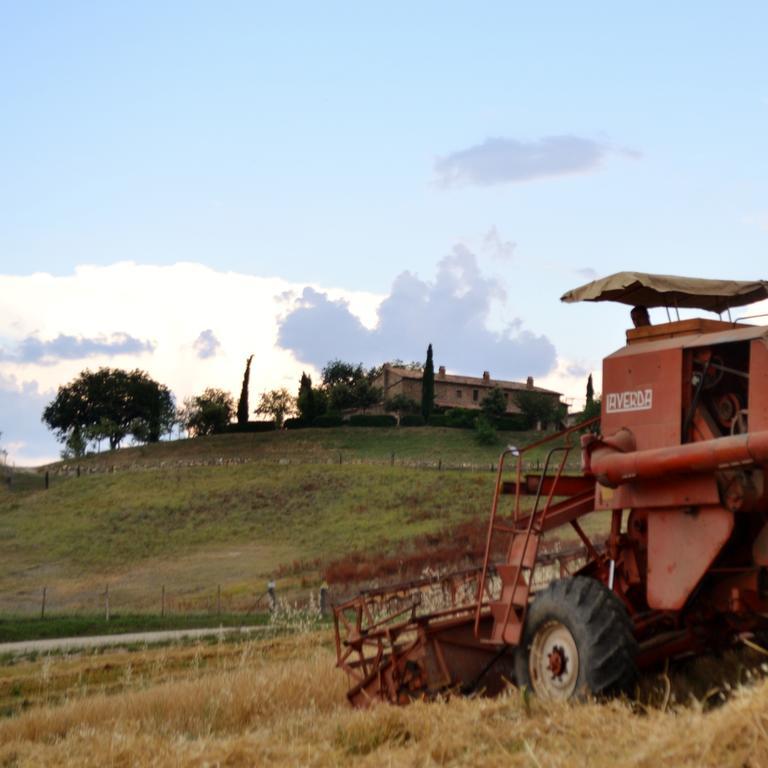 Agriturismo Selvella Allerona Eksteriør bilde